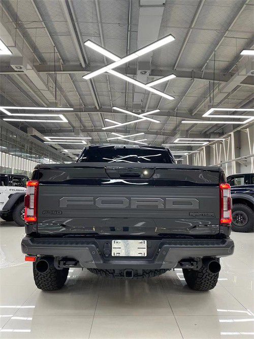 九游娱乐网站：天津现车猛禽F150大降价让利促销中(图4)