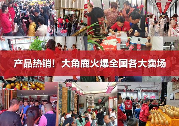 九游娱乐平台：超耐磨瓷砖热销经销商争抢加盟大角鹿(图3)