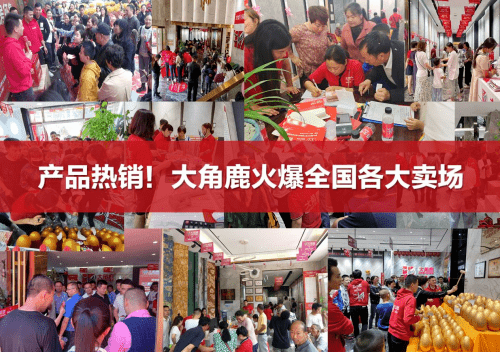 九游娱乐：大角鹿开平5厂点火投产！总产能再创新高解决产品供不应求(图2)