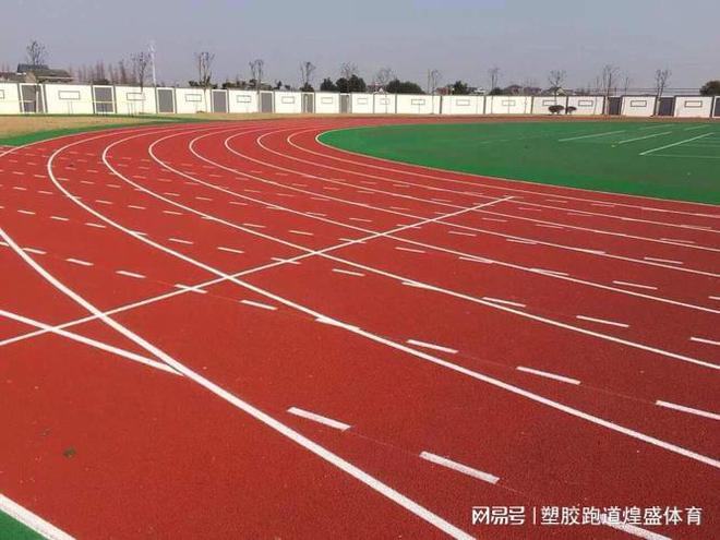 九游娱乐平台：塑胶跑道材料分类你知多少？(图3)