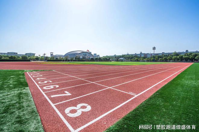 九游娱乐平台：塑胶跑道材料分类你知多少？(图2)