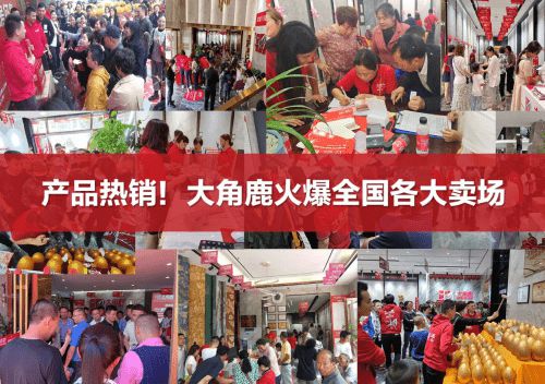九游娱乐网站：大角鹿超耐磨技术全球领先引爆瓷砖界技术革命(图1)