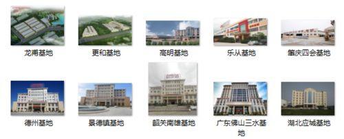 九游娱乐网站：箭牌瓷砖全球火热招商中与您共创财富新风口！(图1)