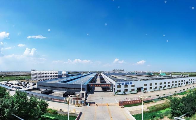 九游娱乐网站：国产轮胎哪家好？中国轮胎排行榜：双星第9、三角第5、赛轮第2(图2)
