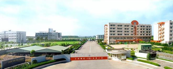 九游娱乐网站：国产轮胎哪家好？中国轮胎排行榜：双星第9、三角第5、赛轮第2(图12)