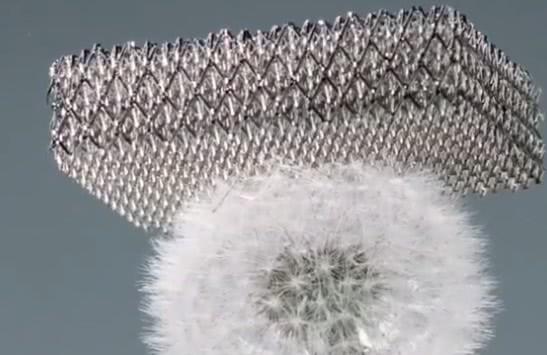 九游娱乐：最神奇的金属材料压不倒一颗蒲公英却比钢铁硬10倍(图2)