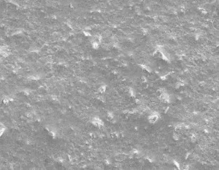 九游娱乐网站：2023瓷砖•岩板十大品类“潜力股”丨年中复盘(图3)