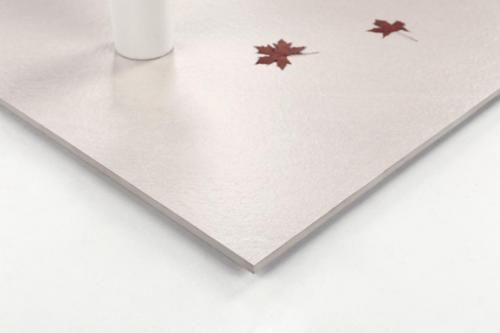 九游娱乐：素色砖：选择金舵瓷砖是非常不错的选择(图2)