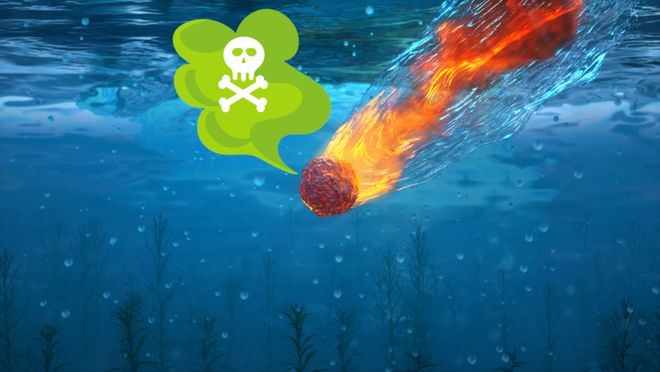 九游娱乐网站：陨石带来怪病？(图5)