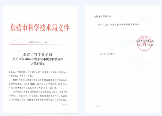 九游娱乐网站：耐斯特炭黑NC8515荣获东营市二等优秀科技成果(图1)