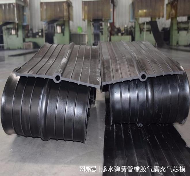九游娱乐平台：651橡胶止水带A郑州651橡胶止水带A有几条防水线？(图1)