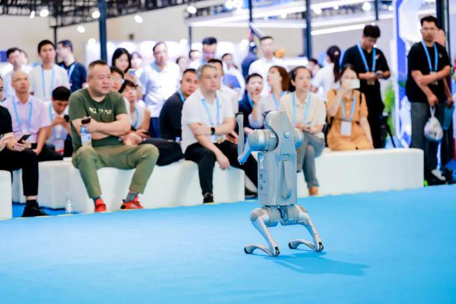 九游娱乐：投洽会数字经济展区哪些人形机器人惊艳了全场？(图8)
