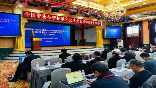 九游娱乐网站：全国带轮与带标委会暨摩擦型带传动分委会2024年度年会召开(图2)