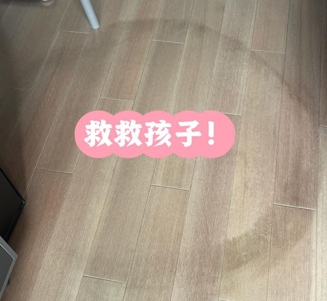 九游娱乐平台：为什么越来越多人后悔铺木地板了？有些话不吐不快太真实了！(图13)