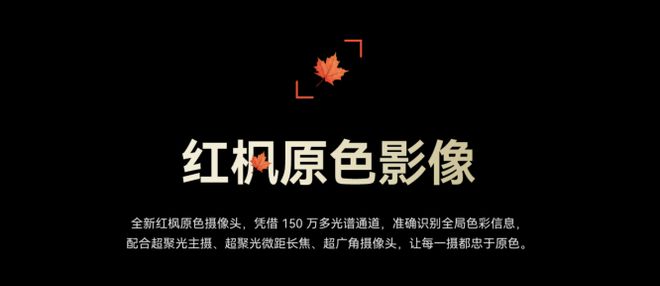 九游娱乐网站：华为年度春晚来了全场都在高呼那四个字！(图6)