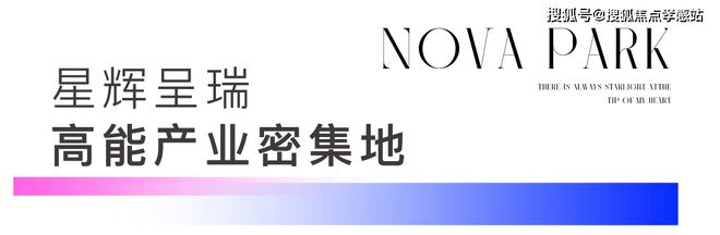 九游娱乐网站：『星耀翠湾』2024网站-星耀翠湾最新优惠折扣发布-上海房天下(图4)