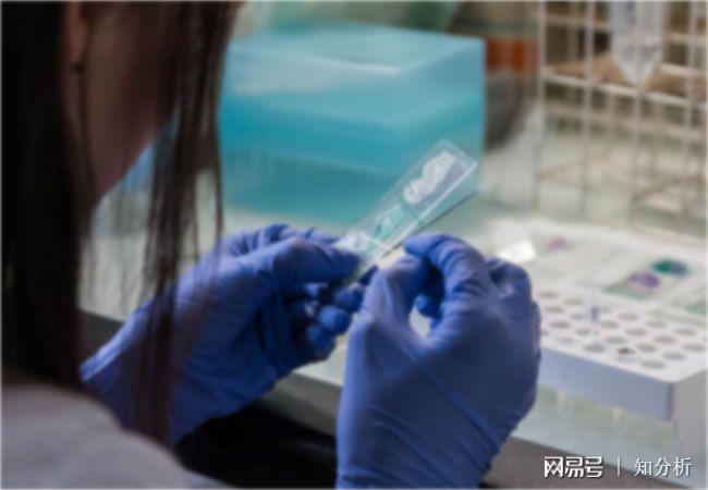 九游娱乐平台：‌复合橡胶材料检测成分化验配方分析及应用(图2)