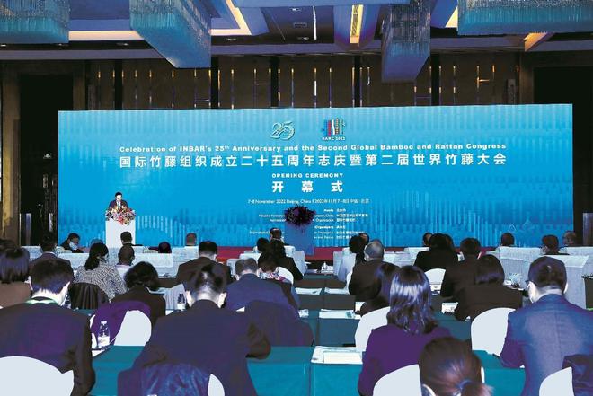 九游娱乐：最早明年就能用上！中国“以竹代塑”狠狠痛击西方环保主义脸面(图8)