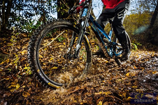 九游娱乐网站：米其林2025年自行车轮胎新品首发Pro5领衔开启“Vélo”骑行新体验(图3)