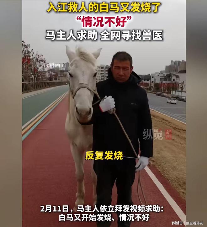 九游娱乐：救人白马不幸离世网友呼吁将事发地改名“白马滩”立雕像纪念(图4)