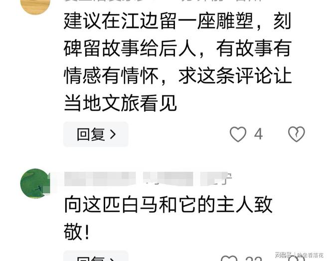 九游娱乐：救人白马不幸离世网友呼吁将事发地改名“白马滩”立雕像纪念(图8)