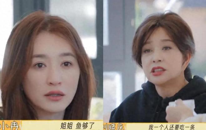 九游娱乐网站：网曝刘