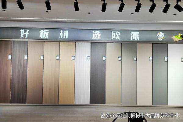 九游娱乐：中国地板十大牌包括哪些品牌(图3)