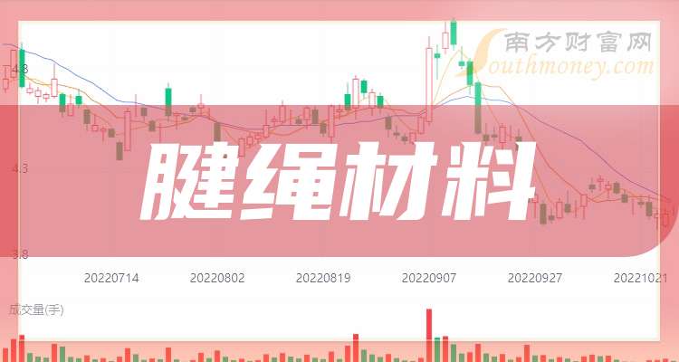 九游娱乐网站：腱绳材料上市企业龙头股共四只（2025218）(图1)