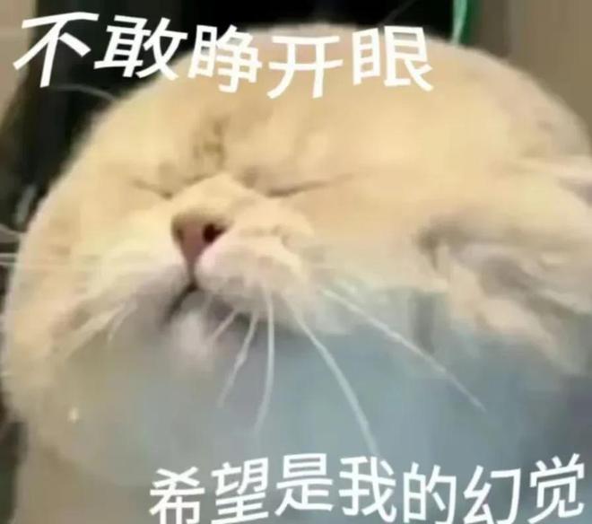 九游娱乐平台：海底捞撒尿事件最新进展：涉事人员已被拘留再做回应。(图8)