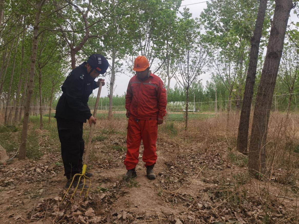 九游娱乐平台:胜利油