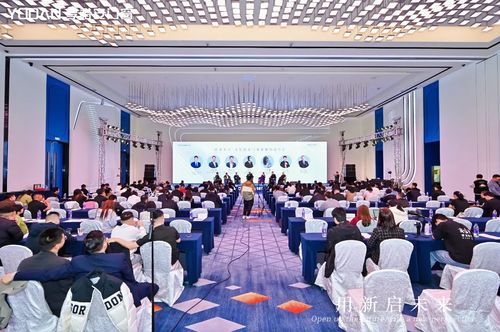 九游娱乐平台：做中国轻高定门窗品牌创领者享裕安门窗品牌战略升级正式发布！(图13)