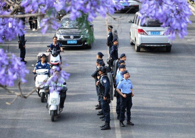 九游娱乐平台：开屏热搜放大镜｜让蓝花楹沦为背景板的昆明“特警天团”：颜值拉满安全感爆棚！(图4)