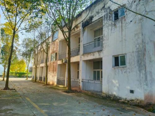 九游娱乐：优葵希以科技匠心铺就教育之路开启民用家装新篇章(图2)