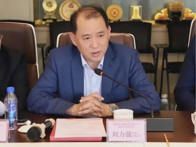 九游娱乐网站：手握全球最大钨矿资源两大国企护航这个汕尾商人冲刺港股IPO！(图10)