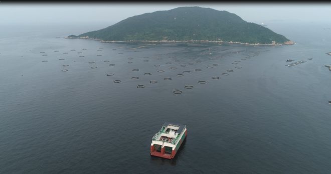 九游娱乐网站：我国首座半潜式波浪能养殖平台“澎湖号”：5万斤大规格赤嘴鳘上市！(图2)