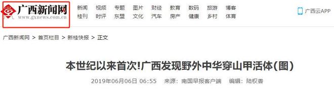 九游娱乐平台：本世纪以来首次！2019年广西村民救到一只活的直接发证书成标兵(图2)