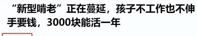 九游娱乐平台：“新型啃老”正向全国蔓延：年轻人不上班不伸手要钱3000块能活(图27)
