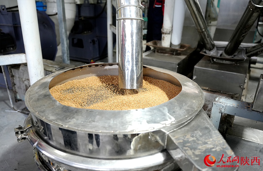 九游娱乐平台：“‘陝’耀‘十四五’全景看三秦”融媒體調研採訪團走進韓城(图1)