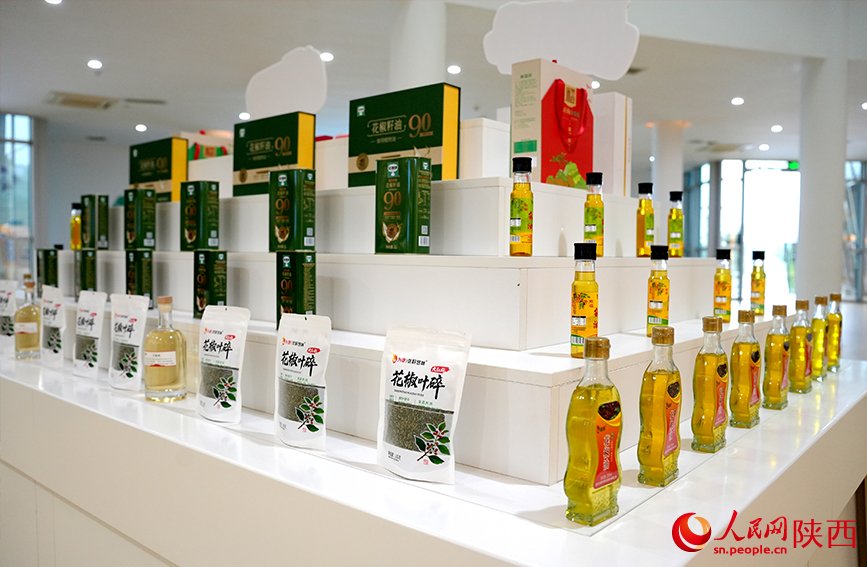 九游娱乐平台：“‘陝’耀‘十四五’全景看三秦”融媒體調研採訪團走進韓城(图2)