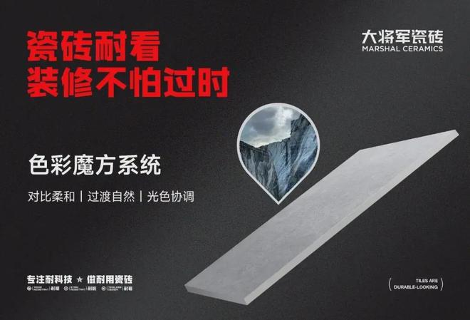 九游娱乐：国内地砖一线品牌大将军瓷砖用“耐科技”守护老年居家时光(图5)