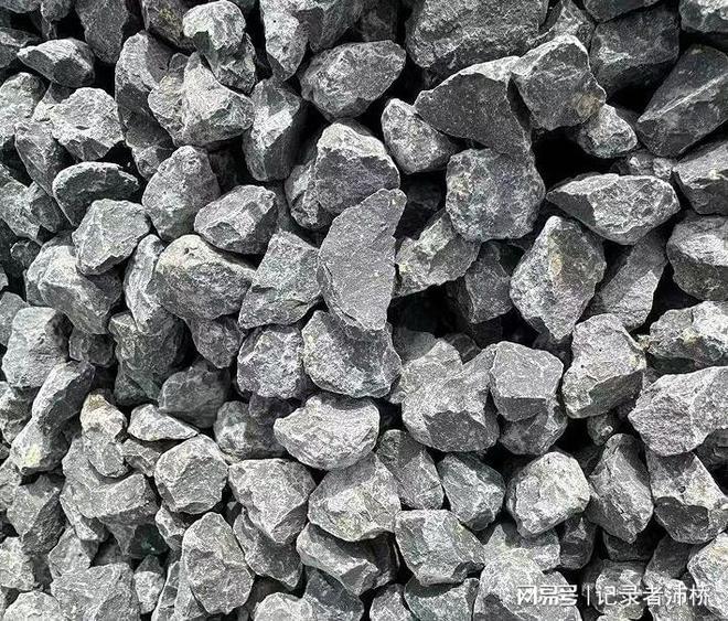 九游娱乐平台：山东展