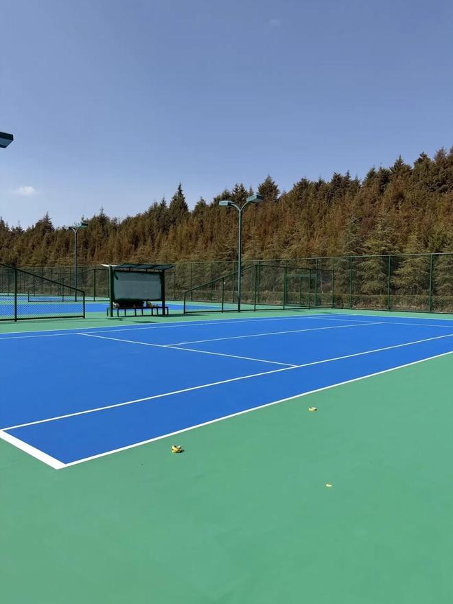 九游娱乐网站：选择硅pu球场材料的5大关键指标(图3)