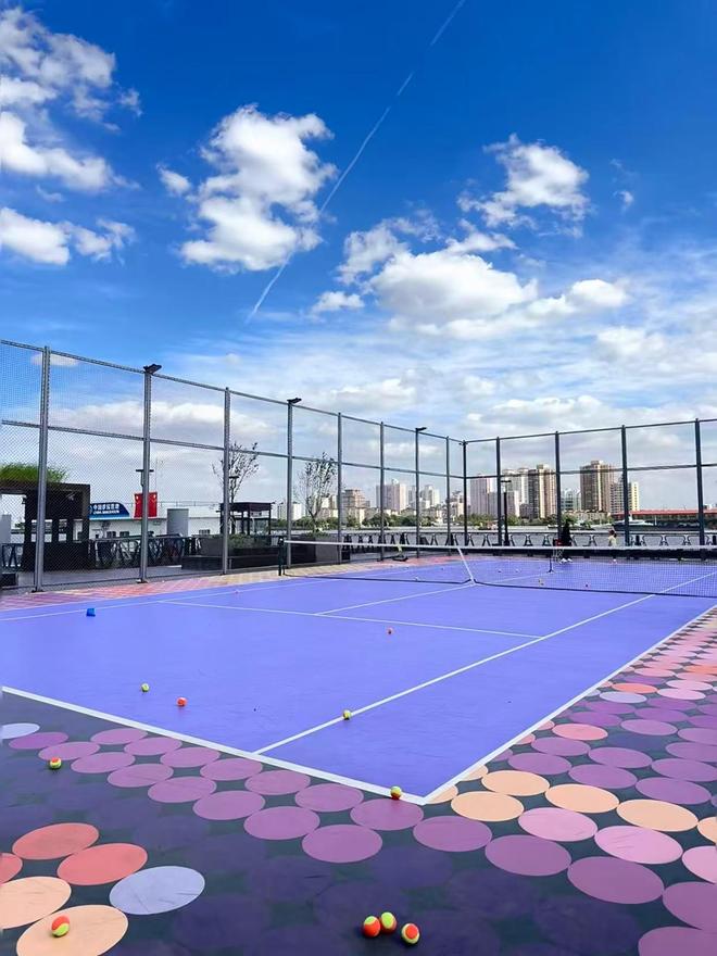 九游娱乐网站：选择硅pu球场材料的5大关键指标(图2)