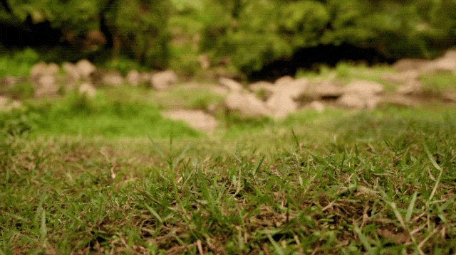 九游娱乐：牛！中国制造已经强到如此可怕了！百元造某克某迪千元级户外鞋！(图17)