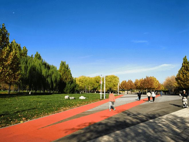 九游娱乐网站：西青这座公园千余米健身步道焕新开放(图4)