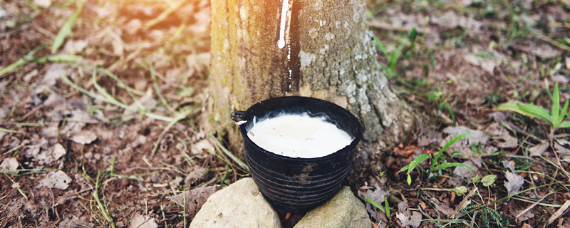 九游娱乐：天然橡胶的