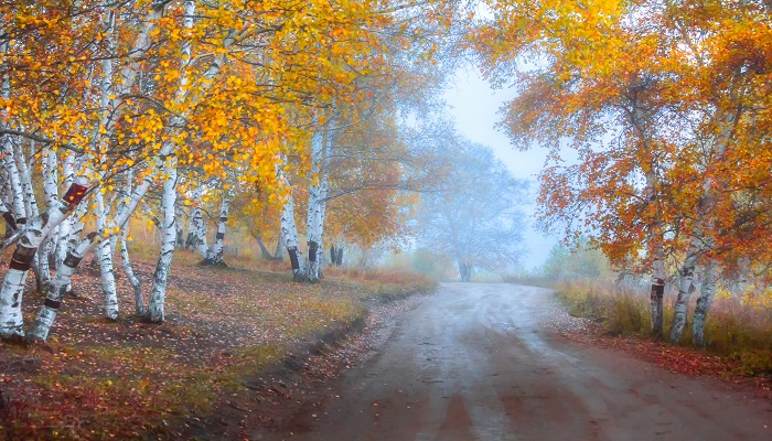 九游娱乐：天然橡胶的用途天然橡胶的用途有什么(图3)