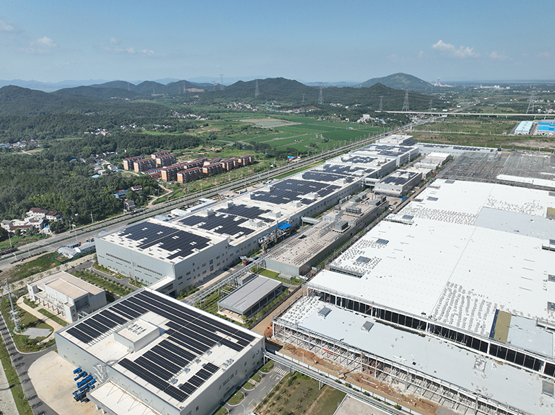 九游娱乐：安徽向前｜铜陵枞阳：“小雨布”撑起“大天地”(图1)