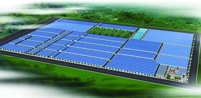 九游娱乐网站：瓷砖白