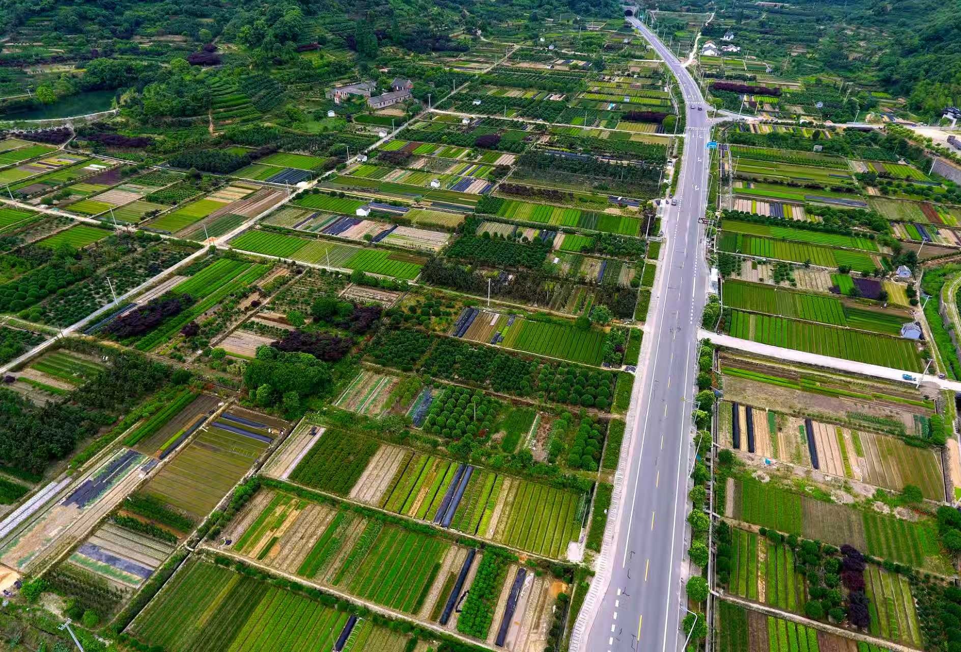 九游娱乐：解码宁波北仑“匠心筑路”的港口赋能密码(图4)